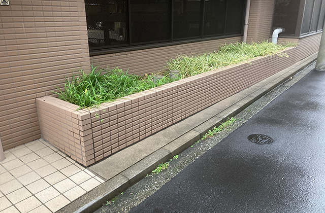 施工前
